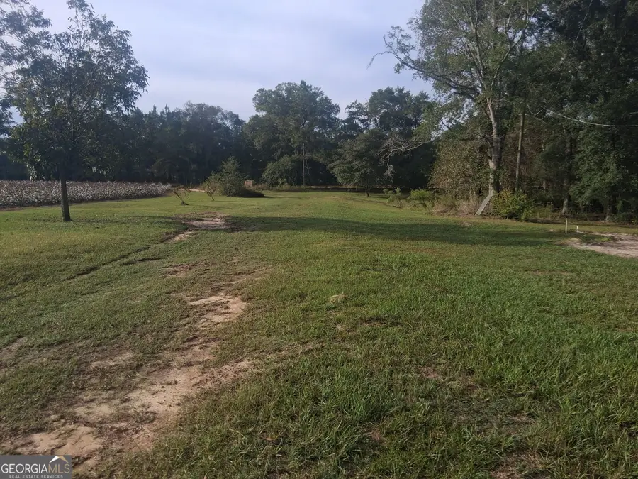 1443 Old Bethel Road, Chester, GA 31012 - #3
