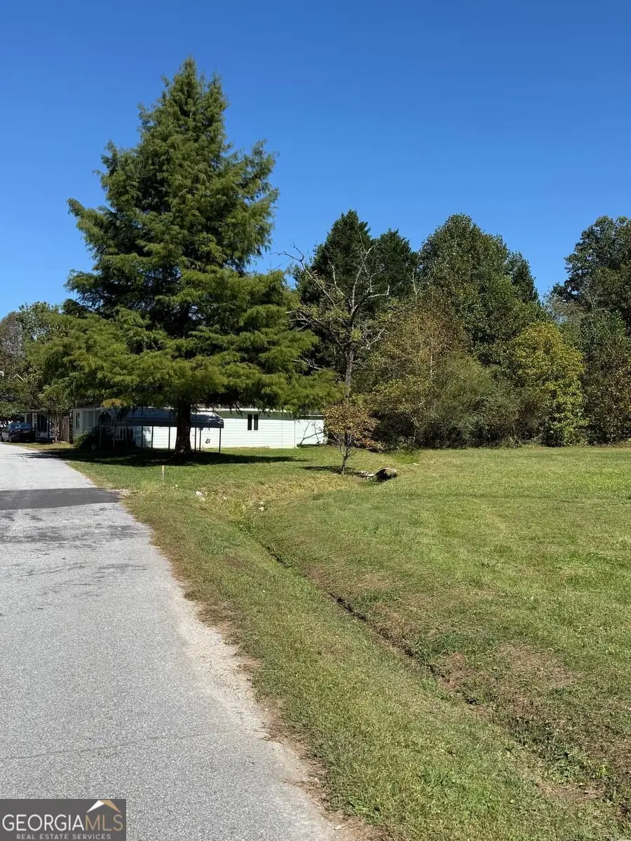 211 Blair Street, Tiger, GA 30576 - #3