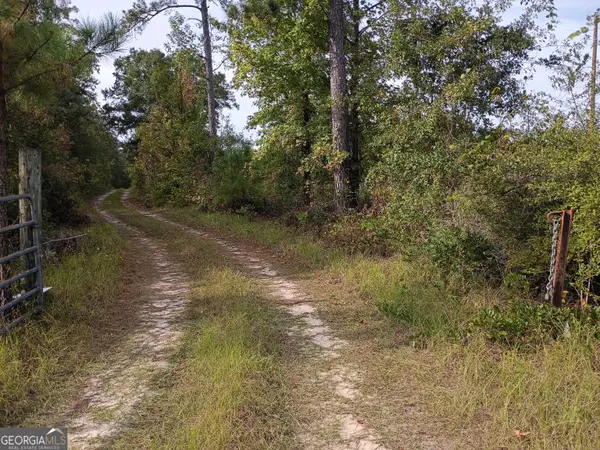 2651 Old Balls Ferry Road, Toomsboro, GA 31090