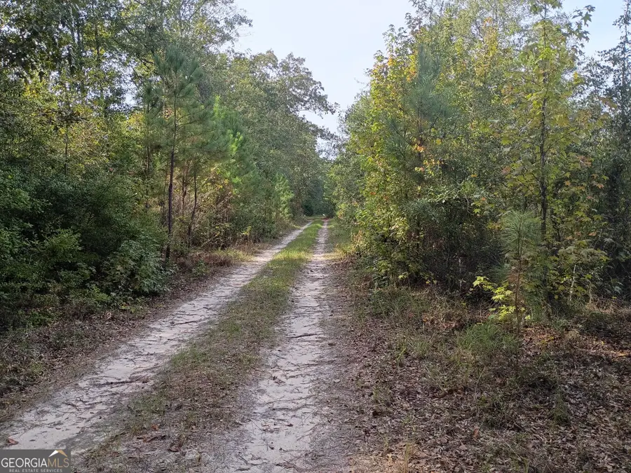 2651 Old Balls Ferry Road, Toomsboro, GA 31090 - #2