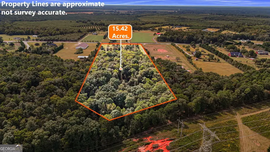 0 Ga Highway 42 S, Byron, GA 31008 - #3