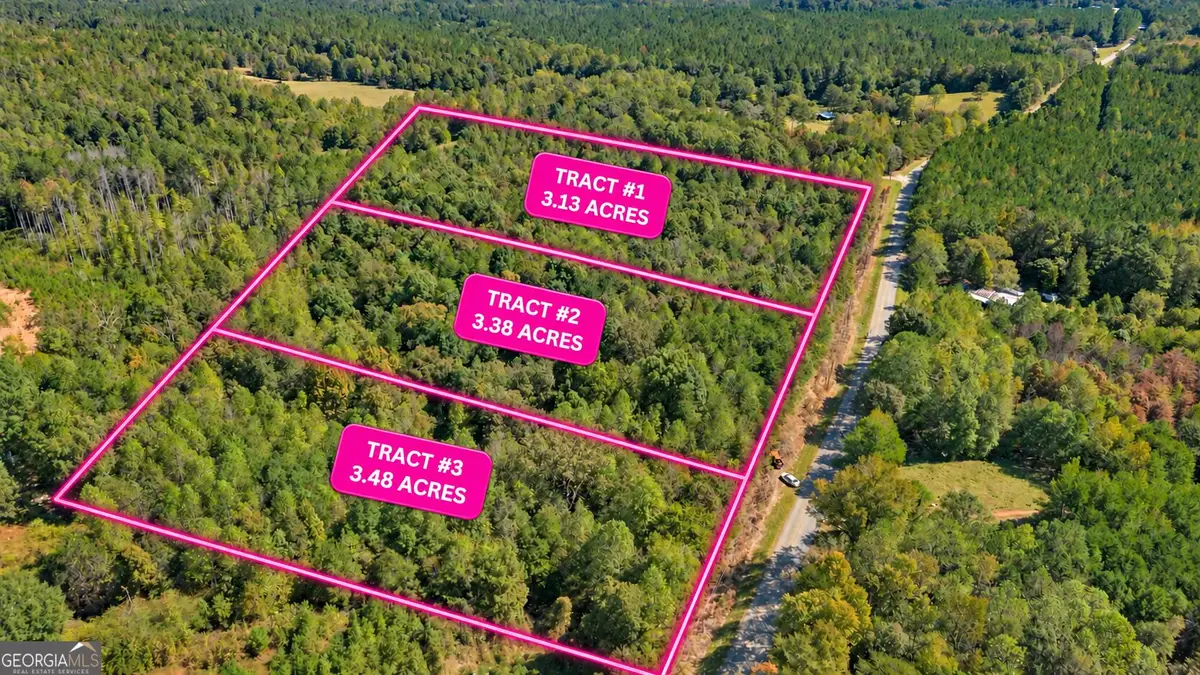 TRACT 1 Lees Bridge Road, Delta, AL 36258 - #1