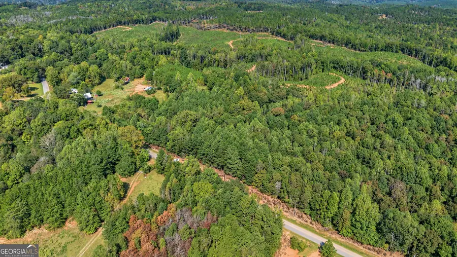 TRACT 2 Lees Bridge Road, Delta, AL 36258 - #3