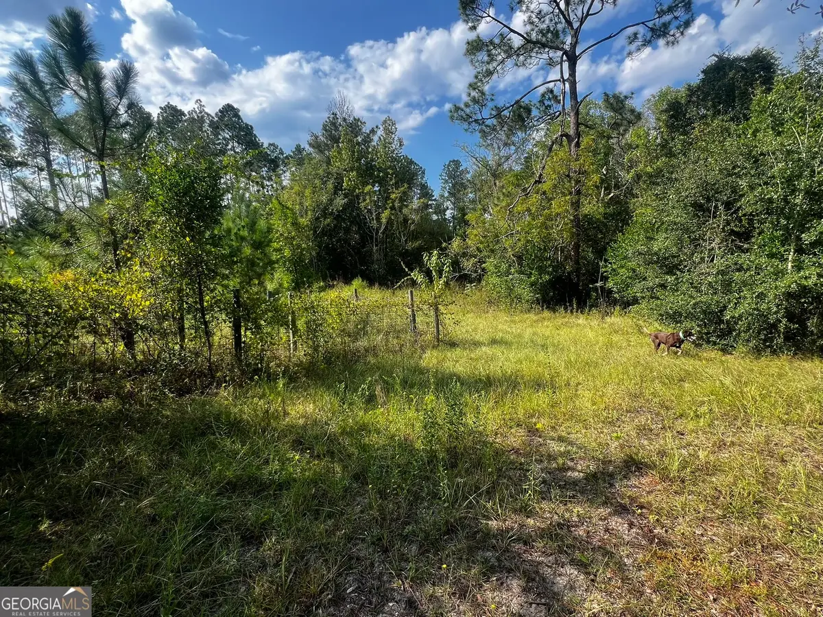 3288 New Hope Road, Odum, GA 31555 - #1