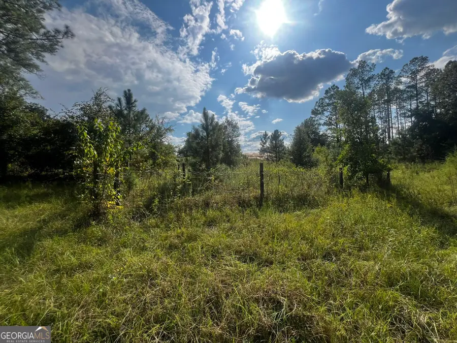 3288 New Hope Road, Odum, GA 31555 - #2