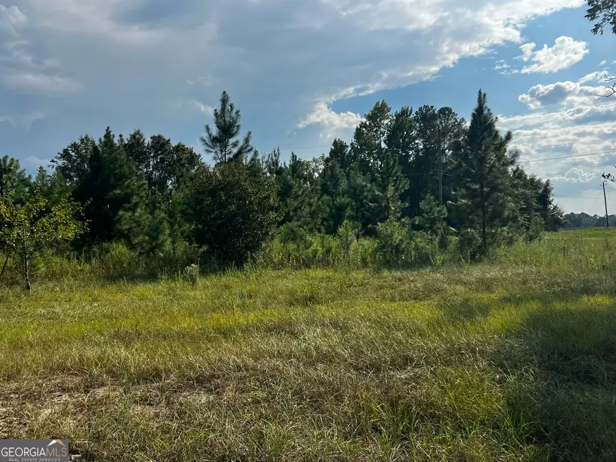3288 New Hope Road, Odum, GA 31555 - #3