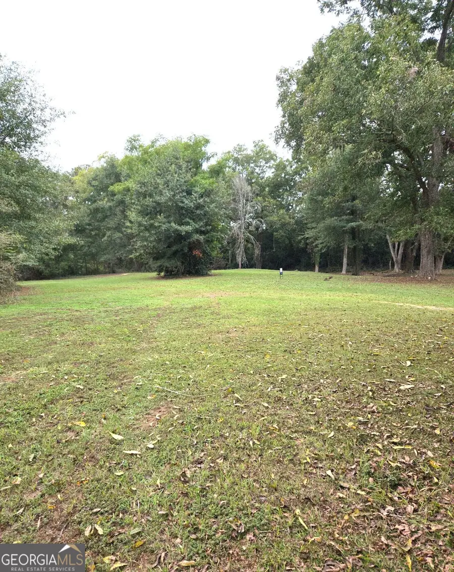 319 Powell Drive, Jackson, GA 30233 - #2