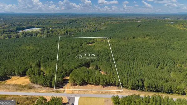 0 Steadman Lane, Tallapoosa, GA 30176