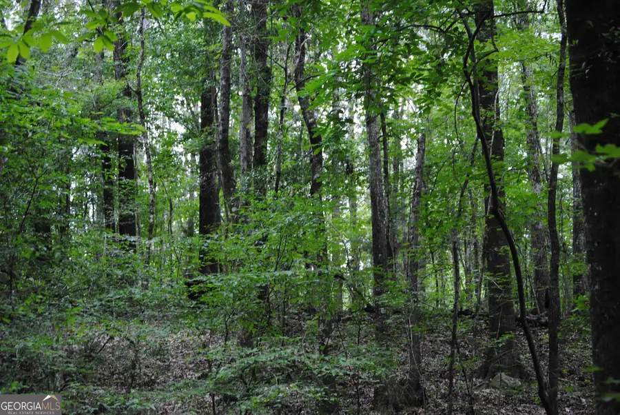 4509 Sr 18 Highway, West Point, GA 31833 - #2