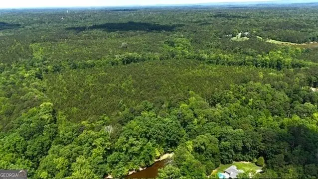 0 Maria Lane, Ellerslie, GA 31807 - #1