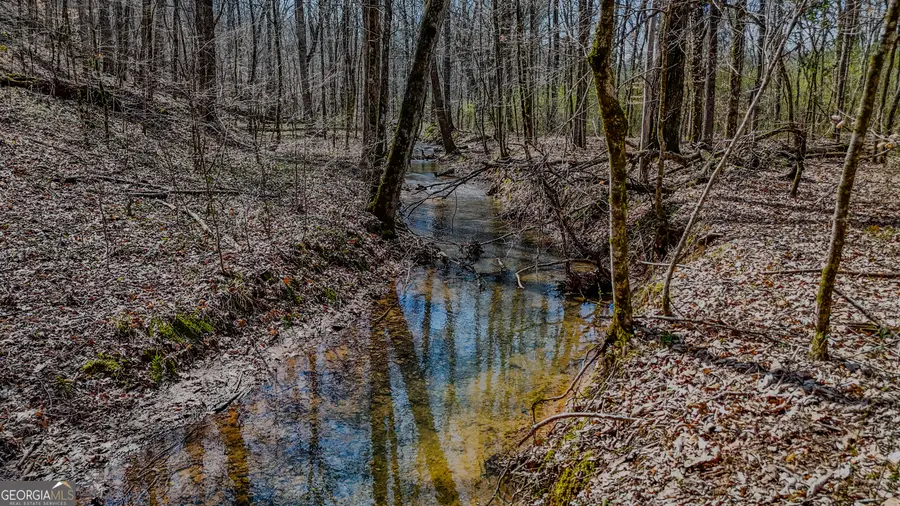 34 ACRES Halls Valley, Rome, GA 30165 - #2