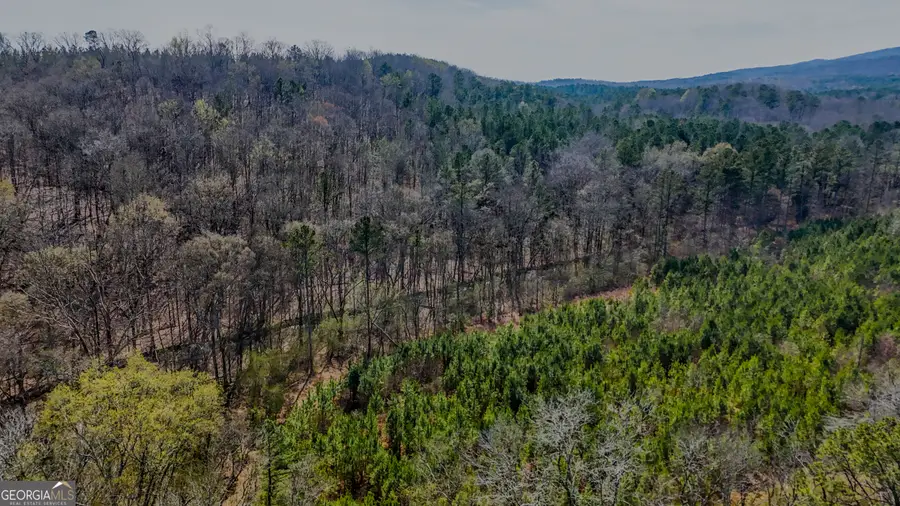 34 ACRES Halls Valley, Rome, GA 30165 - #3