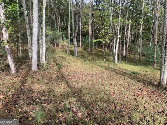 LOT 132 Fox Cove Road, Blairsville, GA 30512 - #1