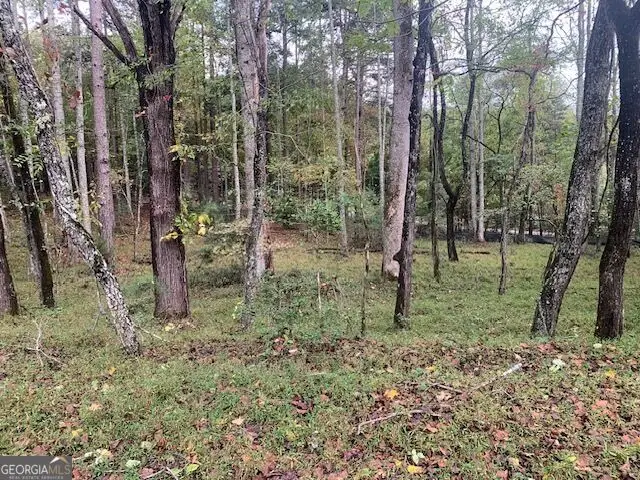 LOT 132 Fox Cove Road, Blairsville, GA 30512 - #3