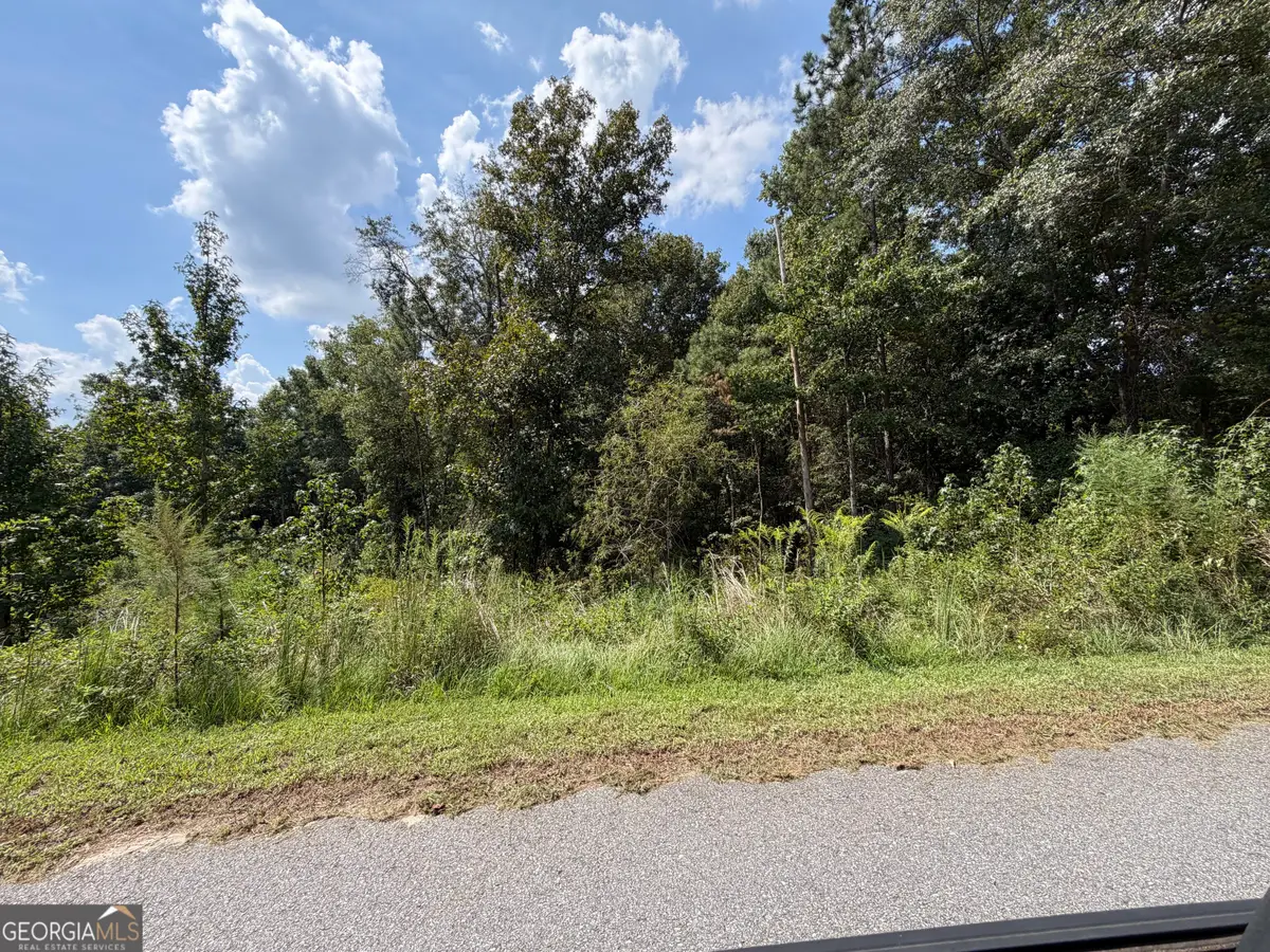 304 Shelter Cove, Lizella, GA 31052 - #1