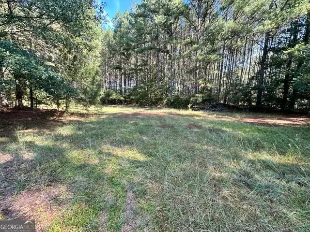 0 Commonwealth Drive, Martin, GA 30557 - #1