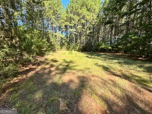 0 Commonwealth Drive, Martin, GA 30557 - #2