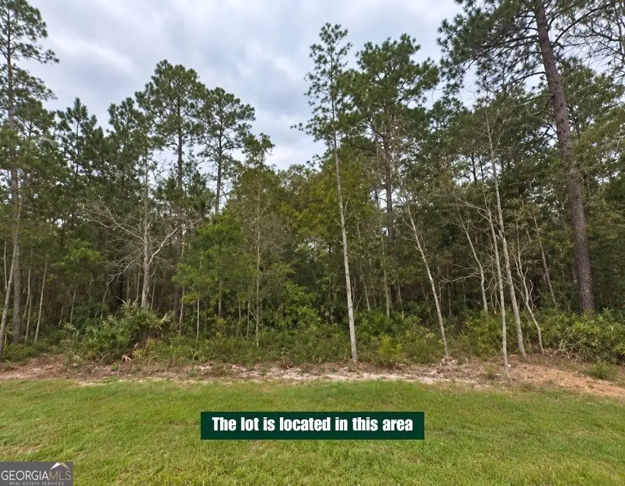 0 Timmons Drive, Waverly, GA 31565 - #3