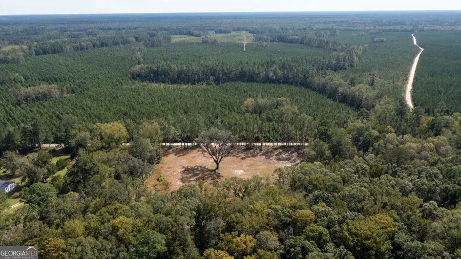 2374 Colesburg Tompkins Road, Woodbine, GA 31569 - #2