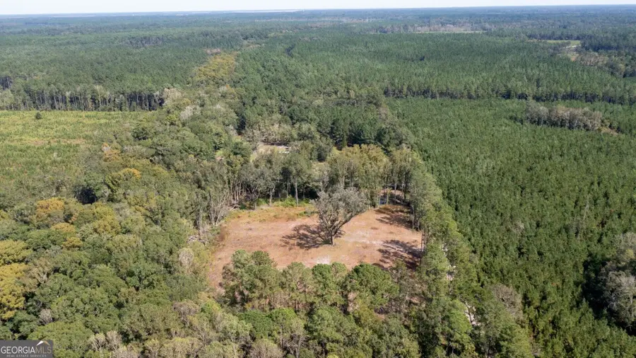 2374 Colesburg Tompkins Road, Woodbine, GA 31569 - #3