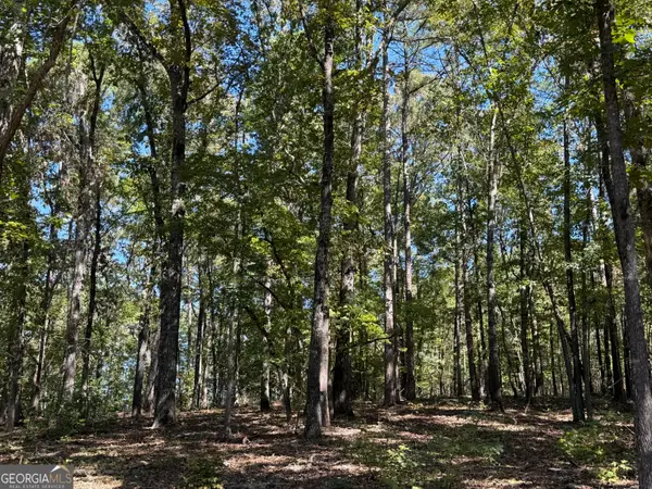 0 County Road 701, Roanoke, AL 36274