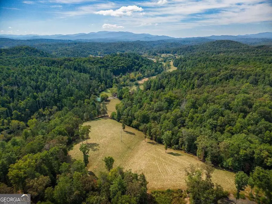 619 Young Stone Drive, Mineral Bluff, GA 30559 - #2