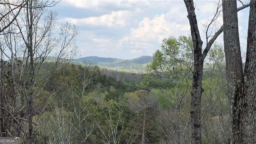 611 Pack Road Ne, Ranger, GA 30734 - #2