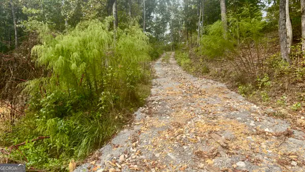 283 Moores Ferry Road Sw, Plainville, GA 30733