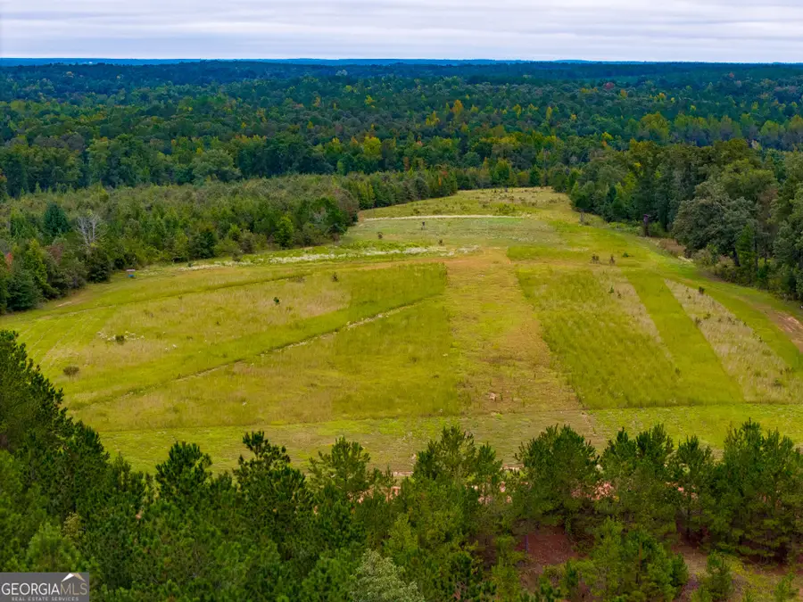 3272 Hadden Pond Road, Avera, GA 30803 - #3