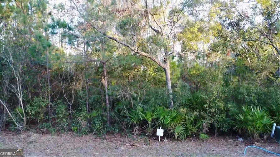 211 Overlook Lane, Saint Marys, GA 31558 - #2