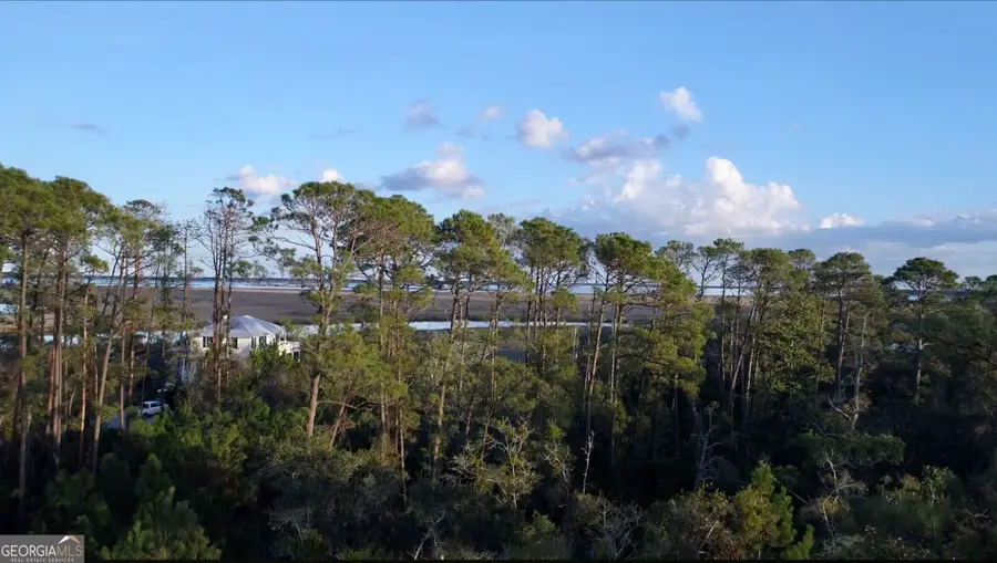 211 Overlook Lane, Saint Marys, GA 31558 - #3
