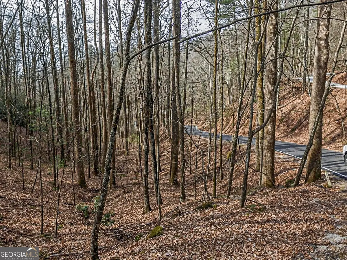LOT 296 & 297 Evergreen Lane, Sky Valley, GA 30537 - #1