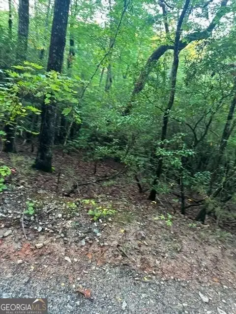 LOTS 3&4 Amicalola Woods Road, Dawsonville, GA 30534