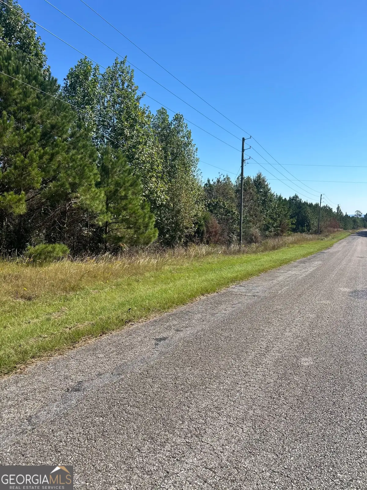 815 County Rd 473, Woodland, AL 36280 - #1