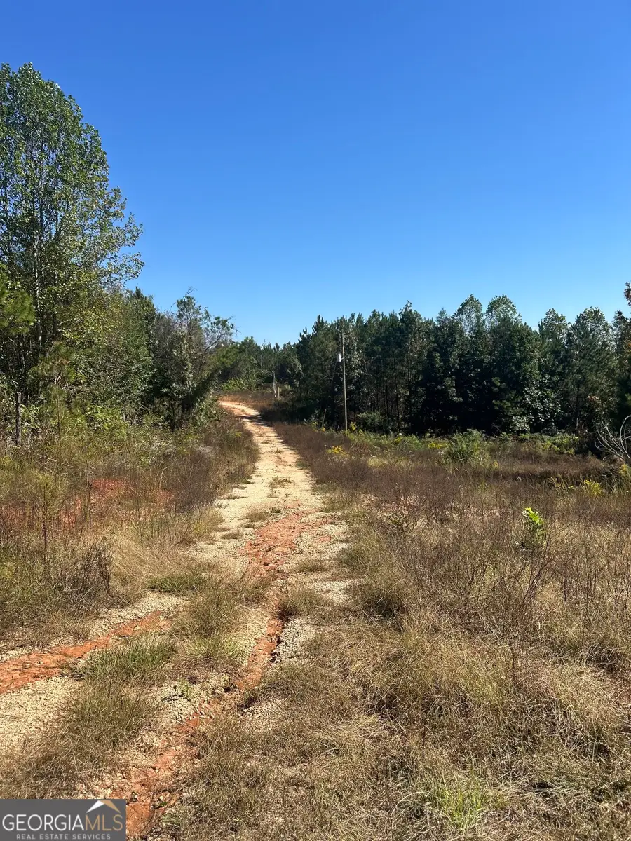815 County Rd 473, Woodland, AL 36280 - #3