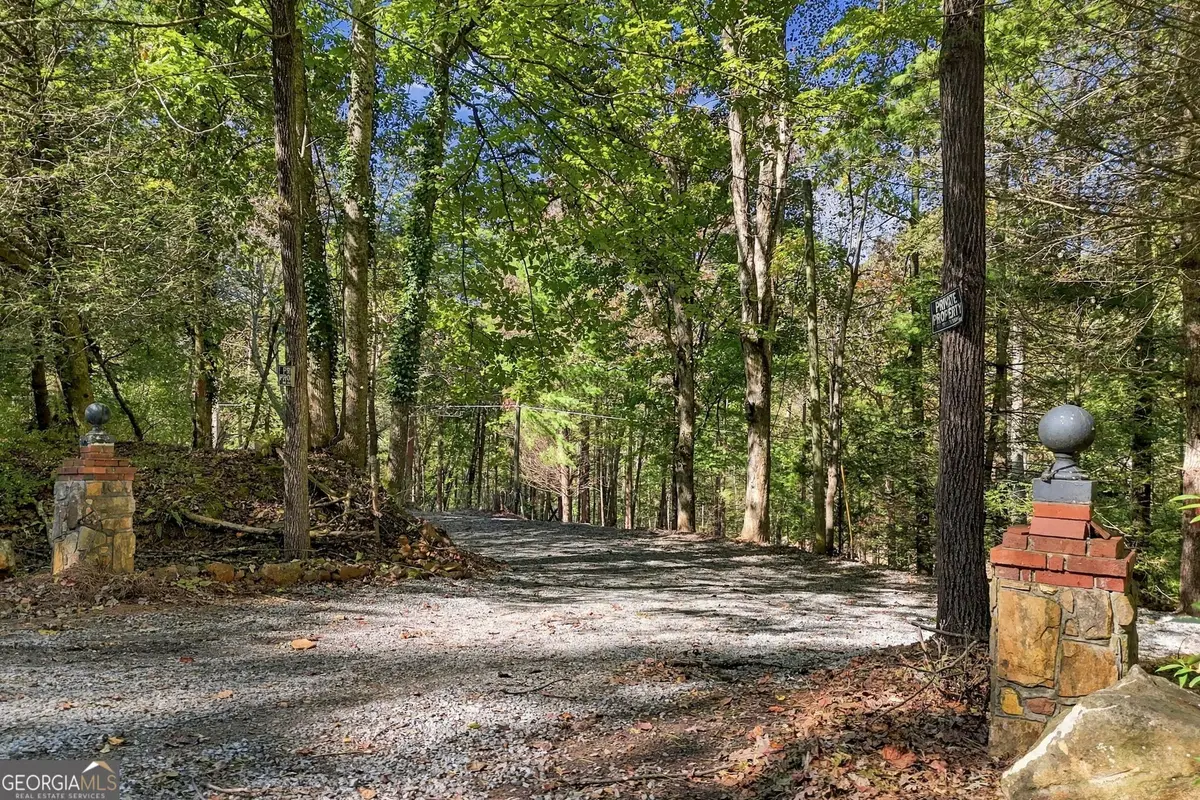 10042 Doublehead Gap Road, Blue Ridge, GA 30513 - #1