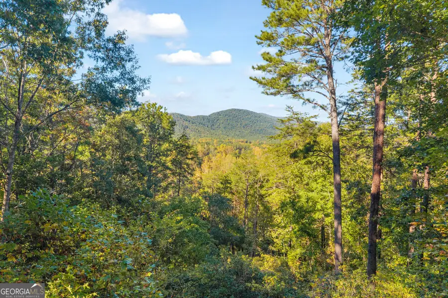 266 Miners Mountain Road, Sautee, GA 30571 - #3