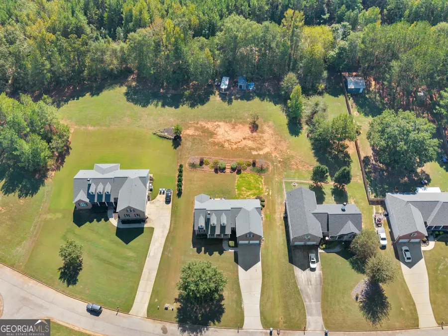 221 Tussahaw Lane, Jackson, GA 30233 - #2
