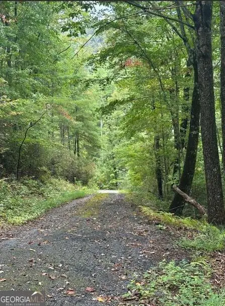 LOT 7 Sequoia Hills Lane #7, Clayton, GA 30525 - #2