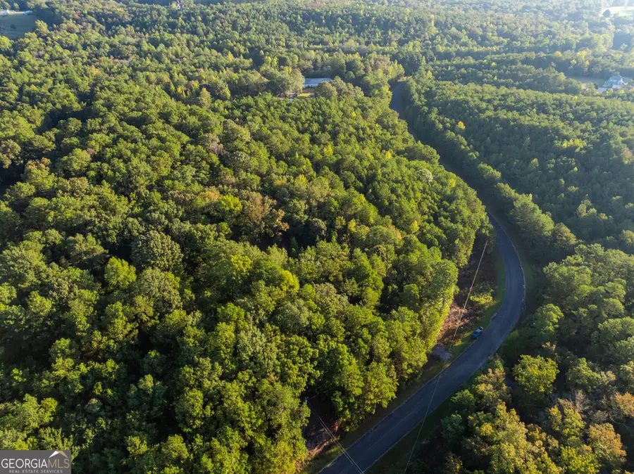 0 Charlie Jones Road, Thomaston, GA 30286 - #3