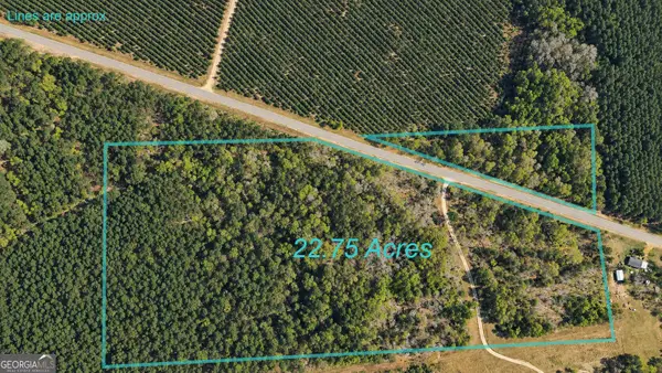0 Old Surrency Road, Surrency, GA 31563