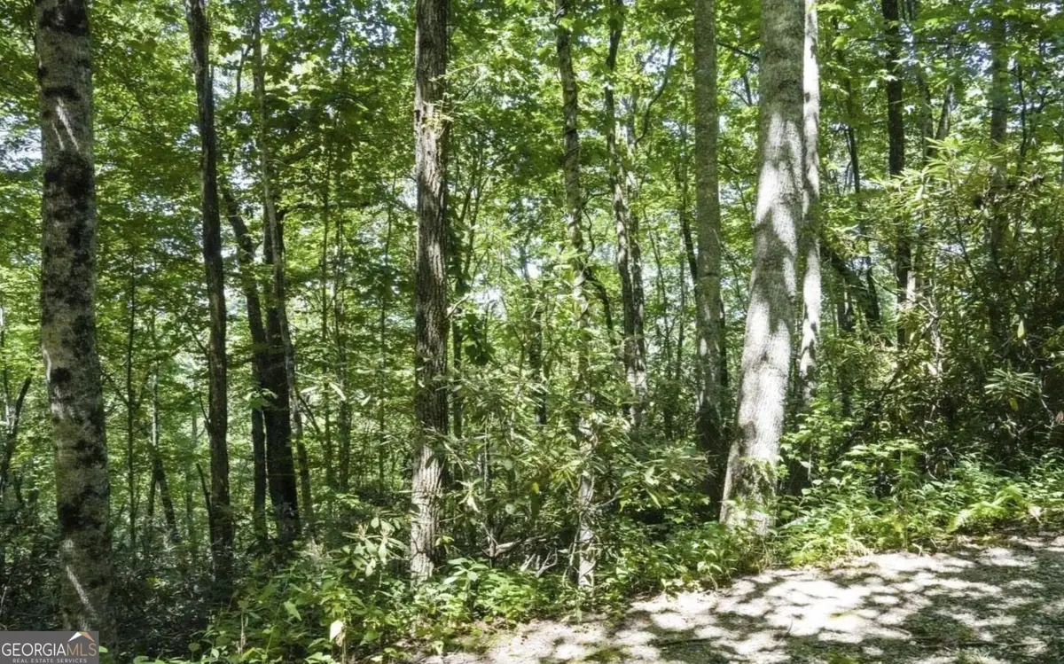 0 Mockingbird Lane, Sky Valley, GA 30537 - #1