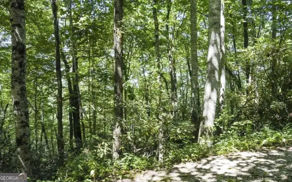0 Mockingbird Lane, Sky Valley, GA 30537