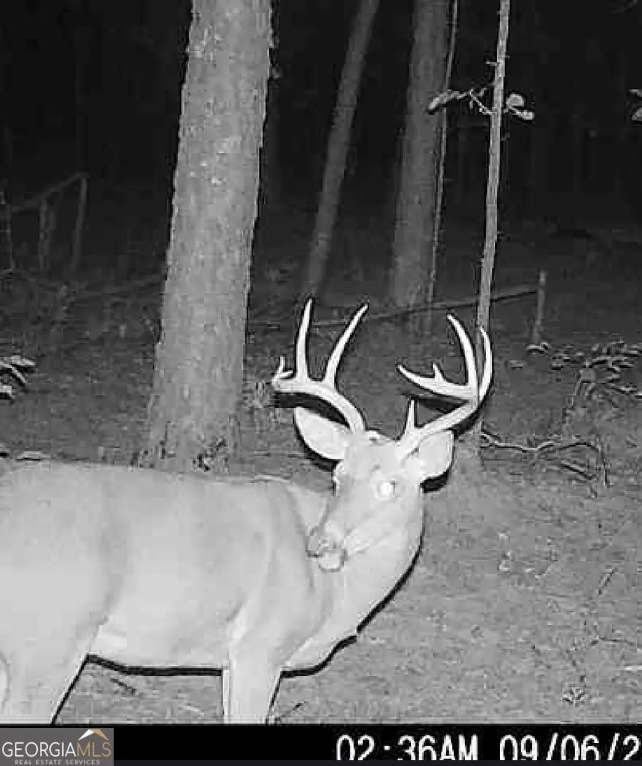 0 Joe Anthony Rd, Senoia, GA 30276 - #3