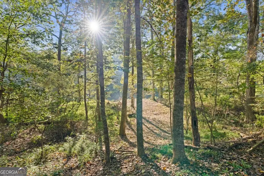 210 Rivergate Drive, Suwanee, GA 30024 - #2