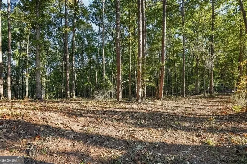 751 Chattin Drive, Canton, GA 30115 - #3