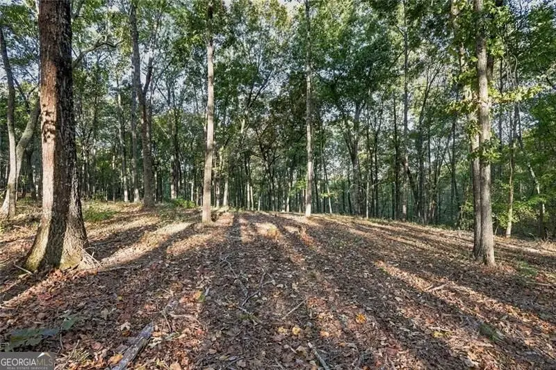 735 Chattin Drive, Canton, GA 30115 - #3