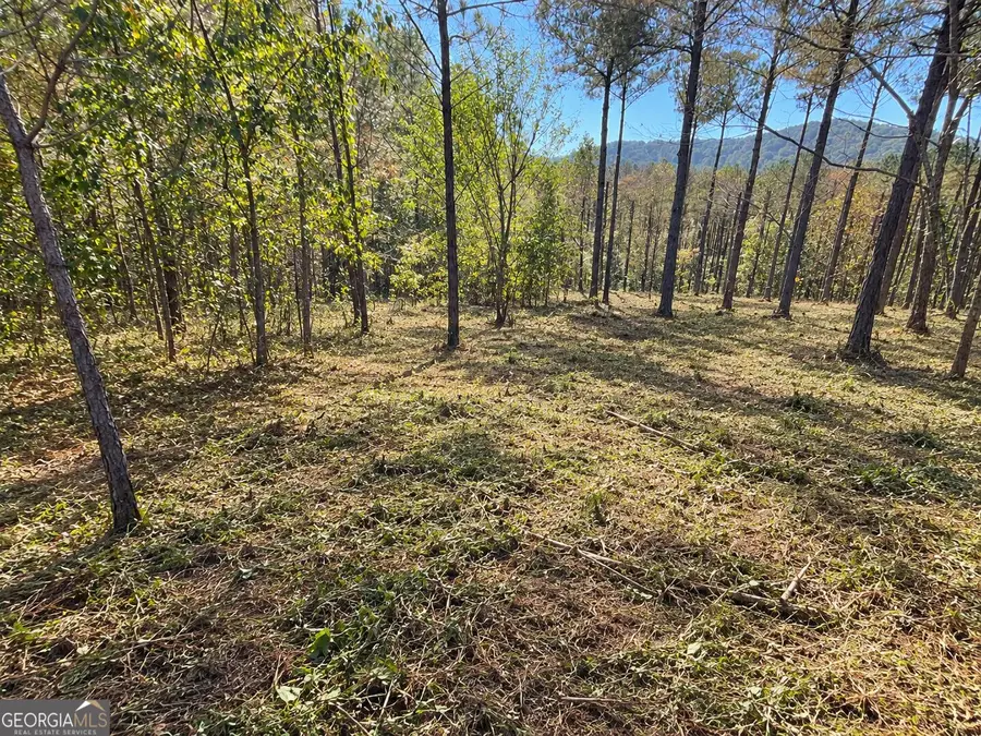 0 Eastview Tr, Ellijay, GA 30536 - #2