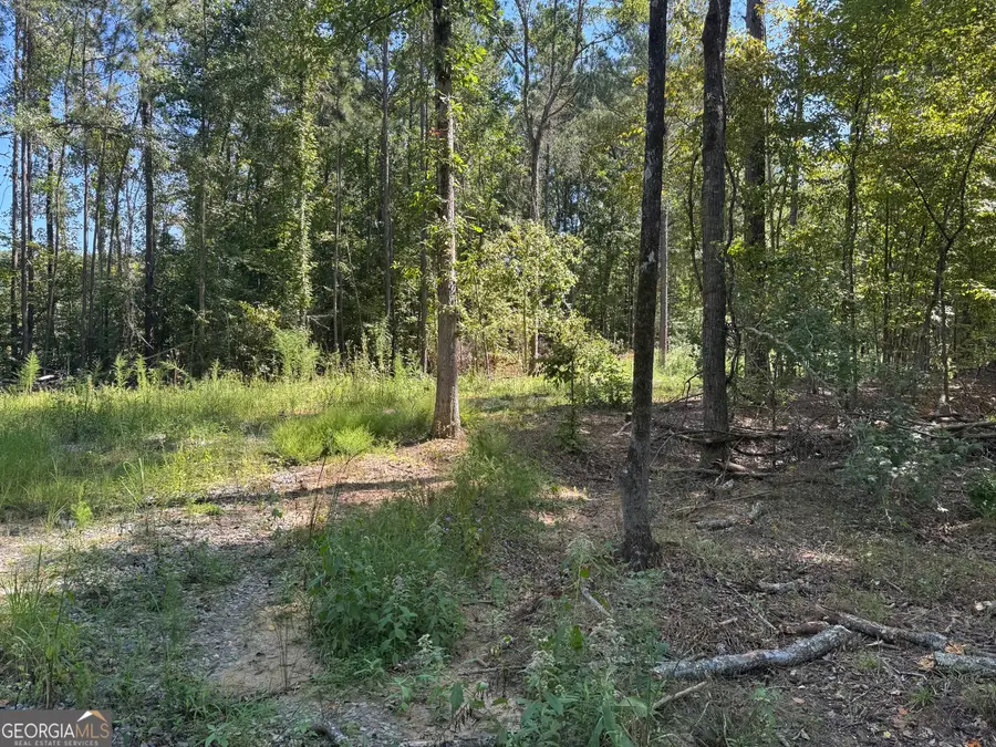 0 Highway 18 E, Gray, GA 31032 - #2