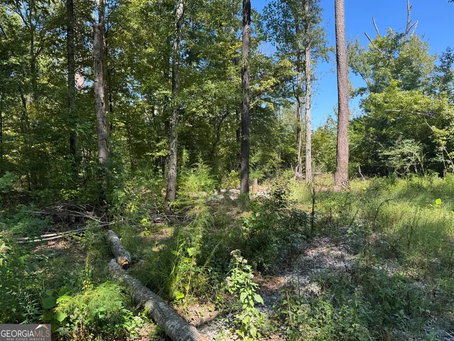 0 Highway 18 E, Gray, GA 31032 - #3